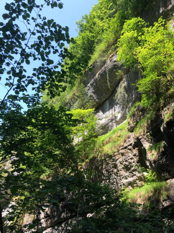 Au Pied Du Vercors Tout Est Permis La Riviere  Exterior photo